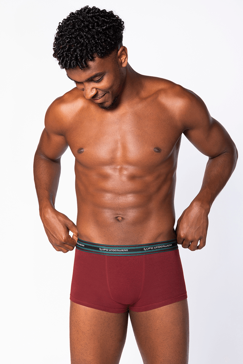Cueca Sunga Algodão Masculina Lupo